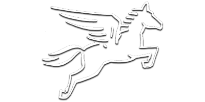 PEGASUS PRO GMBH PEGASUS PRO GMBH